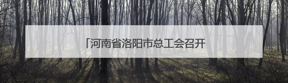 河南省洛阳市总工会召开乡村振兴工作座谈交流会