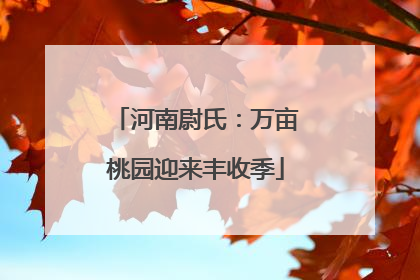 河南尉氏：万亩桃园迎来丰收季