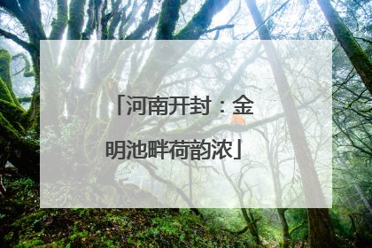 河南开封：金明池畔荷韵浓