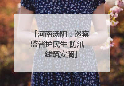 河南汤阴：巡察监督护民生 防汛一线筑安澜