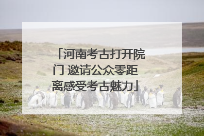河南考古打开院门 邀请公众零距离感受考古魅力