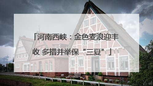 河南西峡：金色麦浪迎丰收 多措并举保“三夏”