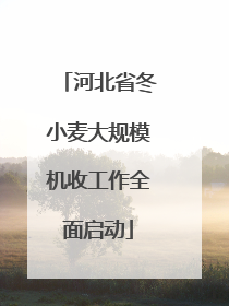 河北省冬小麦大规模机收工作全面启动