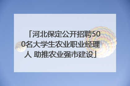 河北保定公开招聘500名大学生农业职业经理人 助推农业强市建设