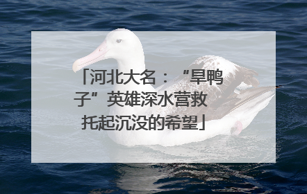 河北大名：“旱鸭子”英雄深水营救 托起沉没的希望