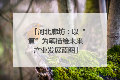 河北廊坊：以“算”为笔描绘未来产业发展蓝图