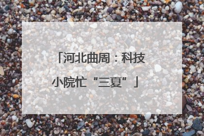 河北曲周：科技小院忙“三夏”