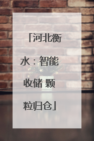 河北衡水：智能收储 颗粒归仓