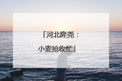 河北隆尧：小麦抢收忙