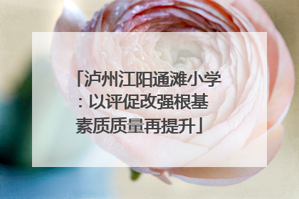 泸州江阳通滩小学：以评促改强根基 素质质量再提升