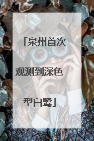 泉州首次观测到深色型白鹭