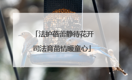 法护蓓蕾静待花开 司法育苗情暖童心