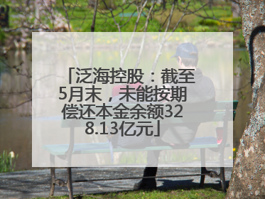泛海控股：截至5月末，未能按期偿还本金余额328.13亿元