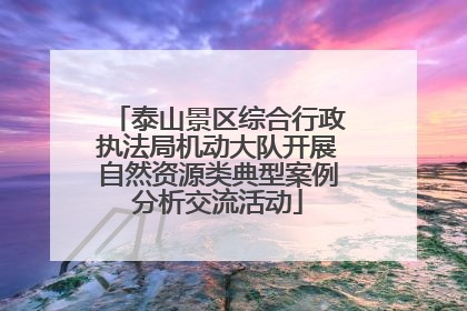 泰山景区综合行政执法局机动大队开展自然资源类典型案例分析交流活动