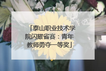泰山职业技术学院闪耀省赛：青年教师勇夺一等奖