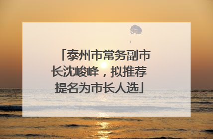 泰州市常务副市长沈峻峰，拟推荐提名为市长人选