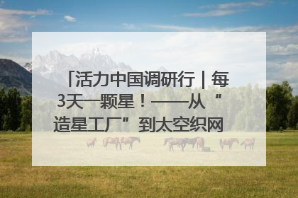 活力中国调研行｜每3天一颗星！——从“造星工厂”到太空织网的“银河速度”