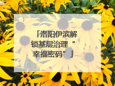 洛阳伊滨解锁基层治理“幸福密码”
