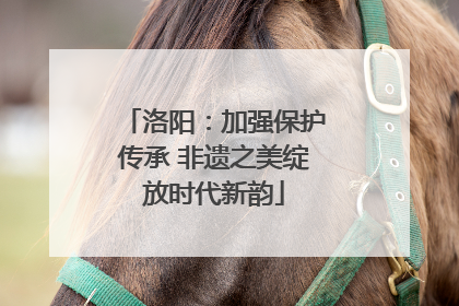 洛阳：加强保护传承 非遗之美绽放时代新韵