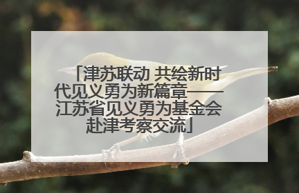 津苏联动 共绘新时代见义勇为新篇章——江苏省见义勇为基金会赴津考察交流