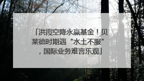 洪霞空降永赢基金！贝莱德时期遇“水土不服”，国际业务难言乐观