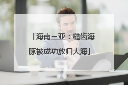 海南三亚：糙齿海豚被成功放归大海