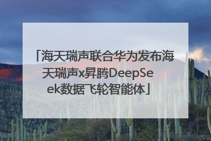 海天瑞声联合华为发布海天瑞声x昇腾DeepSeek数据飞轮智能体