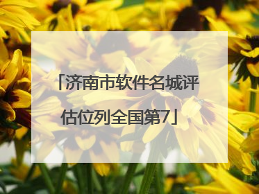 济南市软件名城评估位列全国第7