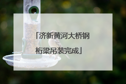 济新黄河大桥钢桁梁吊装完成