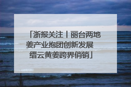 浙报关注丨丽台两地姜产业抱团创新发展 缙云黄姜跨界俏销