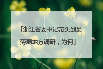 浙江省委书记带头到最薄弱地方调研，为何