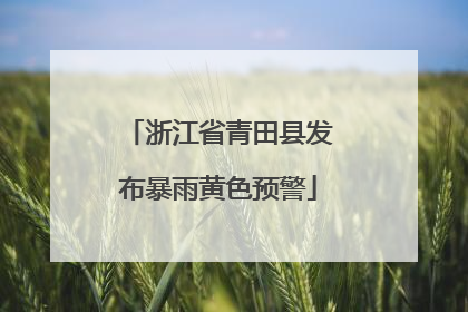 浙江省青田县发布暴雨黄色预警