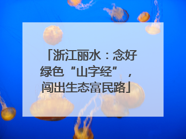 浙江丽水：念好绿色“山字经”，闯出生态富民路