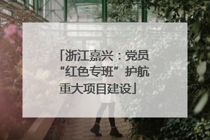 浙江嘉兴：党员“红色专班”护航重大项目建设