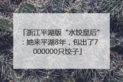 浙江平湖版“水饺皇后”：她来平湖8年，包出了7000000只饺子