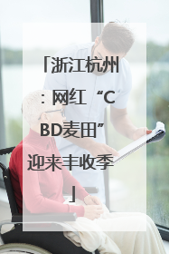 浙江杭州：网红“CBD麦田”迎来丰收季