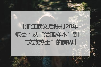 浙江武义后陈村20年蝶变：从“治理样本”到“文旅热土”的跨界