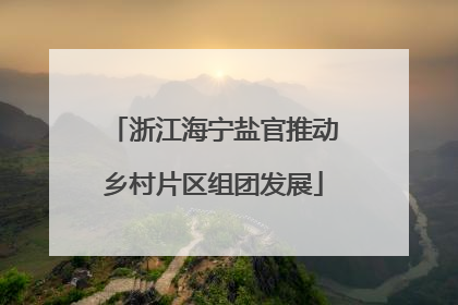 浙江海宁盐官推动乡村片区组团发展