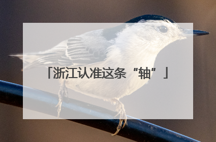 浙江认准这条“轴”