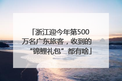 浙江迎今年第500万名广东旅客，收到的“锦鲤礼包”都有啥