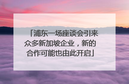 浦东一场座谈会引来众多新加坡企业，新的合作可能也由此开启