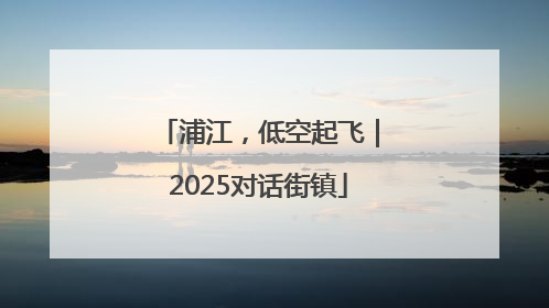浦江，低空起飞｜2025对话街镇