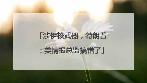 涉伊核武器，特朗普：美情报总监搞错了