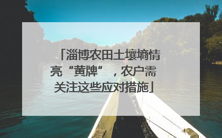 淄博农田土壤墒情亮“黄牌”，农户需关注这些应对措施
