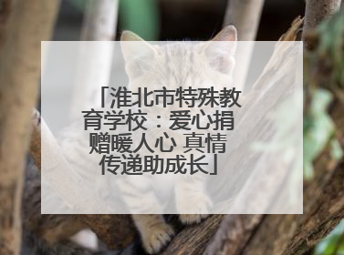 淮北市特殊教育学校：爱心捐赠暖人心 真情传递助成长