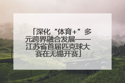 深化“体育+”多元跨界融合发展——江苏省首届匹克球大赛在无锡开赛