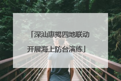 深汕惠揭四地联动开展海上防台演练