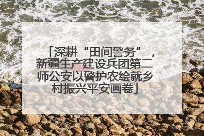 深耕“田间警务”，新疆生产建设兵团第二师公安以警护农绘就乡村振兴平安画卷