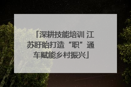 深耕技能培训 江苏盱眙打造“职”通车赋能乡村振兴