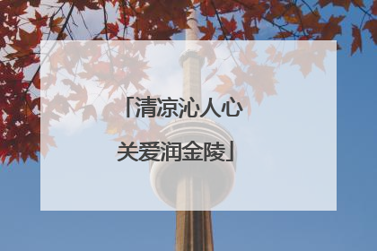 清凉沁人心 关爱润金陵